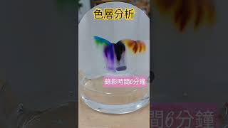 EJ 實驗  濾紙色層分析測試（水）