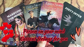 Person on your mind : Current Feeling/emotions of your person💞🫣Hindi tarot card reading