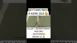 Namaz Kılan Maymun