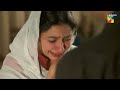 agar hareem ko kuch ho gaya tou... humsafar hum tv drama