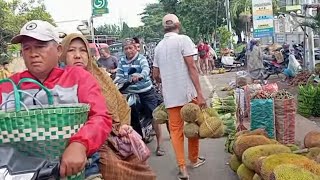 Antusias Wisatawan Borong Duren Dll di Pasar Buah Murah Pasrepan Pasuruan