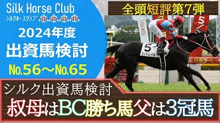 【一口馬主】シルク募集馬全頭短評☆叔母はBC勝ち馬×父は三冠馬の超良血！ 優良繁殖ロッテンマイヤー産駒も登場！