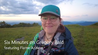 Six Minutes on Gregory Bald, featuring Flame Azaleas in the Great Smoky Mountains