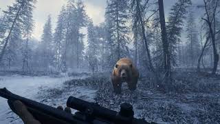 theHunter  Call of the Wild - Tajga Syberyjska (Trailer)