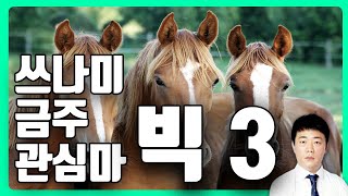 정통경마 쓰나미가 추천하는 3월 첫째주 관심마 빅 3 🎠 | 정통경마 쓰나미