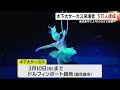 木下大サーカス来場者　５万人達成　鹿児島市で３月１０日まで開催中 25 01 10 18 14