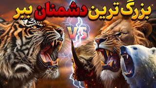 حیواناتی که توانایی کشتن یک ببر وحشی رو دارند|10 حیوانی که میتونند ببر رو به زانو در بیارن