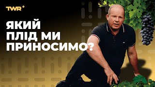 Який плід ми приносимо? | Олександр Чмут