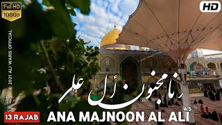 13 Rajab | Ana Majnoon Al Ali | Wiladat e Maula Ali WhatsApp Status | By Ali Waris Official