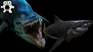 Creatures More Terrifying Than Megalodon Living In the Mariana Trench