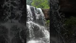 dindigul Thavasimadai falls