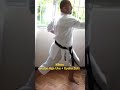 jodan age uke gyaku zuki jodanageuke gyqkuzuki ski kanazawa tfck shotokan karate