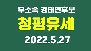 (LIVE) 무소속 강태만 가평군수후보 청평거리유세