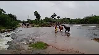 அன்னவாசல்  பரம்பூர் அருகே உள்ள பின்னங்குடி கண்மாய் நிரம்பி வழிகிறது கலிங்கி உடையும் அபாயம்