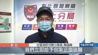 水鹿闖快速道路 車輛閃避不及當場亡