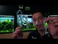 ep 6 complete aquascaping beginners guide maintenance