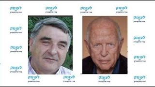 פרופ' אבי דיסקין: \