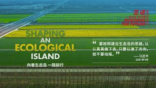 Building the Future EP8｜#Chongming – Shaping an Ecological Island #china #shanghai #ecofriendly