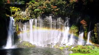 Relaxing video with Nature Sounds - Waterfall HD #shortsvideo