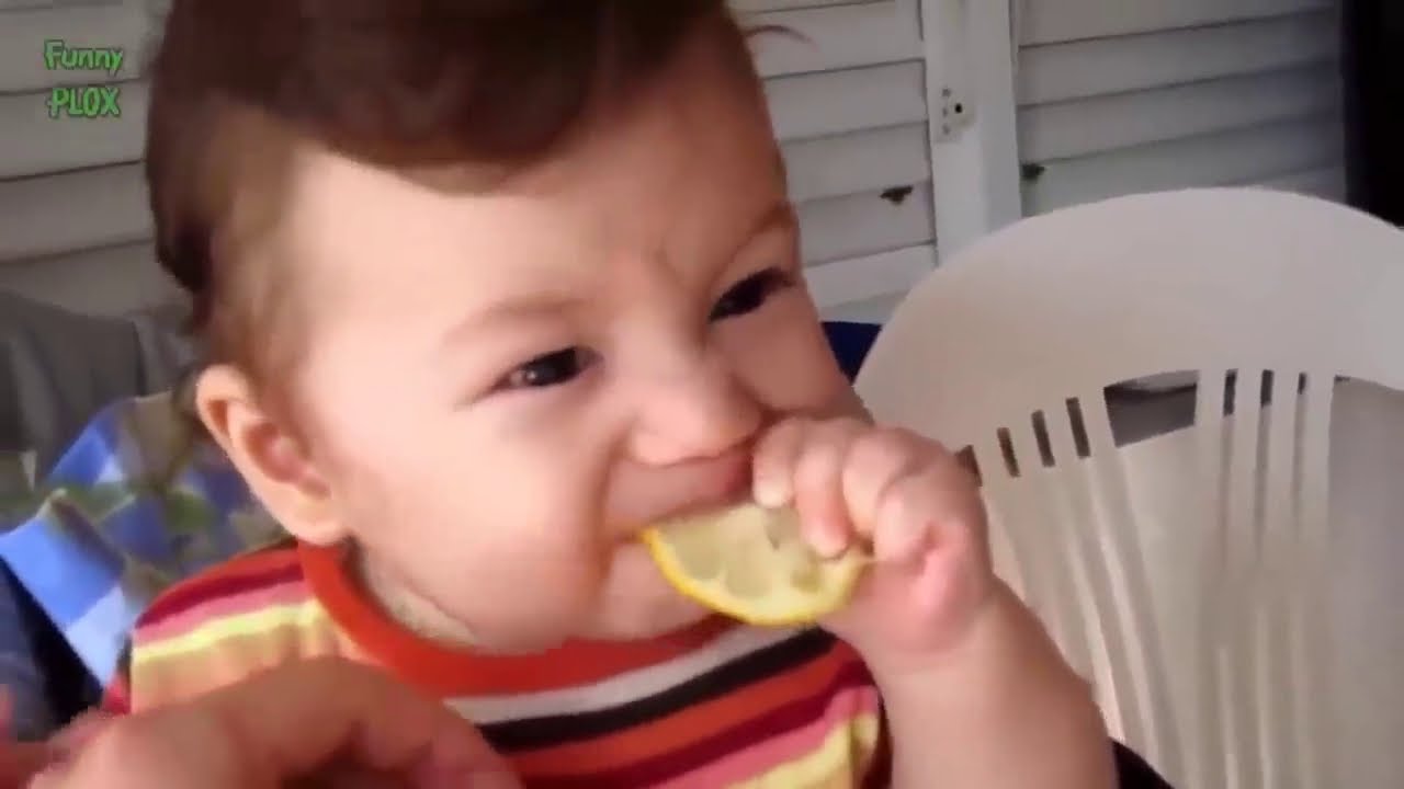 Babies Eating Lemons For The First Time - YouTube