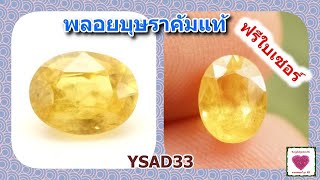 อัญมณีสีเหลือง พลอยบุษราคัมแท้ 1.48 กะรัต ไซส์ 5.5*7.5 มิล มีใบเซอร์(YSAD33)