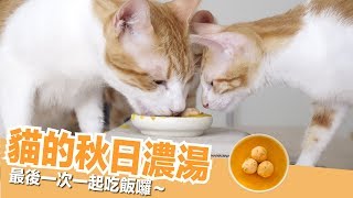 最後一次全貓福吃飯囉～大家都愛的秋日濃湯！【貓副食食譜】好味貓廚房EP117