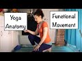 Yoga and Functional Movement :: Yoga Anatomy :: Course Giveaway