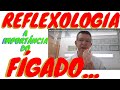 Na REFLEXOLOGIA PODAL a importância em TRABALHAR O FÍGADO - Aula EXPRESS GRÁTIS