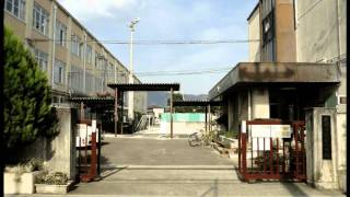 京都市左京区　葵小学校.avi