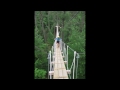 northwoods zip line