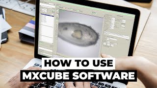 How to use MXCuBE software - PROXIMA-1 Beamline