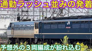 廃線となった短絡線を探し回ったら辿り着いた重要拠点！いろいろな電気機関車が貨物列車を牽引して来たり入換作業で忙しない