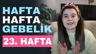 Hafta Hafta Gebelik - 23 Haftalık Gebelik