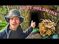 Massive Gold Haul Found After Exploring Abandoned Gold Mine