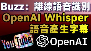 Offline Voice recognition tool: Buzz, which uses OpenAI Whisper neural network, with high accuracy