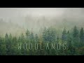 Poolz - Woodlands ◅Chillstep▻ [Pretend Penguin 10 Years & Counting Free Compilation]