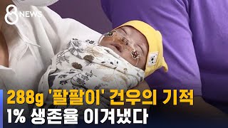 288g '팔팔이' 건우의 기적…1% 생존율 이겨냈다 / SBS