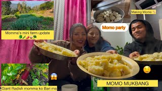 Vlog: Making Momo 🥟🤤||  MUKBANG || mini farm tour 🥬🥦🫛🥔|| Momo Party 🎉