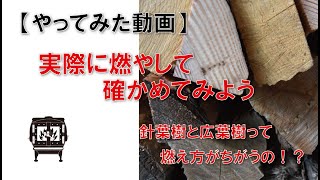 【HOW TO】針葉樹と広葉樹に燃え方の違いがあるのか