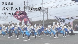 【朝霞溝連2023】おやちゃい村収穫祭 熱いぜ！関八連劇場　 2023.11.3 溝沼連合町内会｢朝霞溝連｣