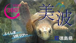 Tokushima VR Tour 《The chapter of Turtle Town》