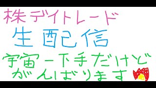 株デイトレード配信です。マジでガチで株が宇宙一下手だけど頑張ります。ーロスカットじょしつきー47営業日目