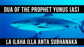 La ilaha illa Anta Subhanaka - Dua Of The Prophet Yunus (AS) - Saad Al Qureshi