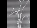 idf video shows iron dome interceptions