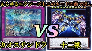 【遊戯王】サイド有りマッチ戦を実況解説！『カオスサンドラ』vs『十二獣』フリーデュエルPart989【対戦動画】