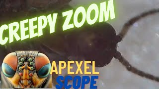 Apexel MS008 Portable Handheld Digital Microscope Review  - with  creepy close-ups of bugs