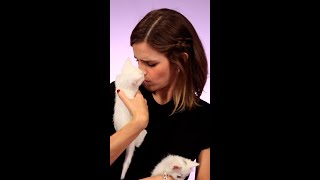 Emma Watson with kittens = instant serotonin boost