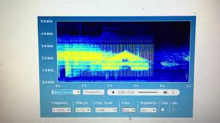 Secret fortnite spectrogram picture of peely running from ufos (read description)