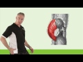 myofascial slings introduction