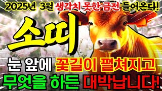 2025년 3월 소띠는 진짜루 터진다🌟재물신이 도와 큰 부자가 됩니다. 생각치 못한 금전이 들어와 돈이 쌓이는 '97년생 85년생 73년생 61년생 49년생' 소띠운세​